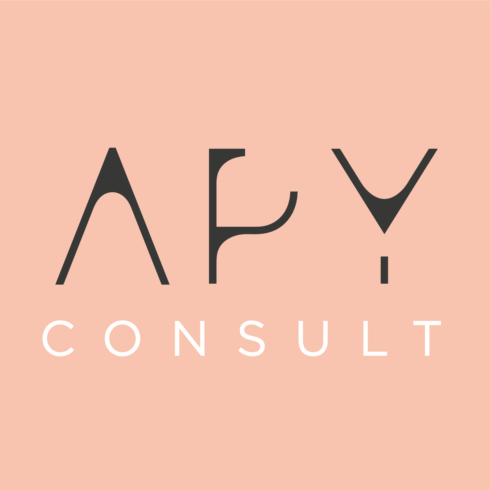 logo APY Consult rose