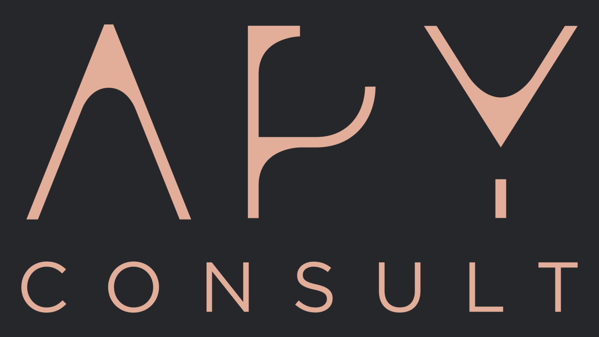 Logo APY Consult rose fond noir